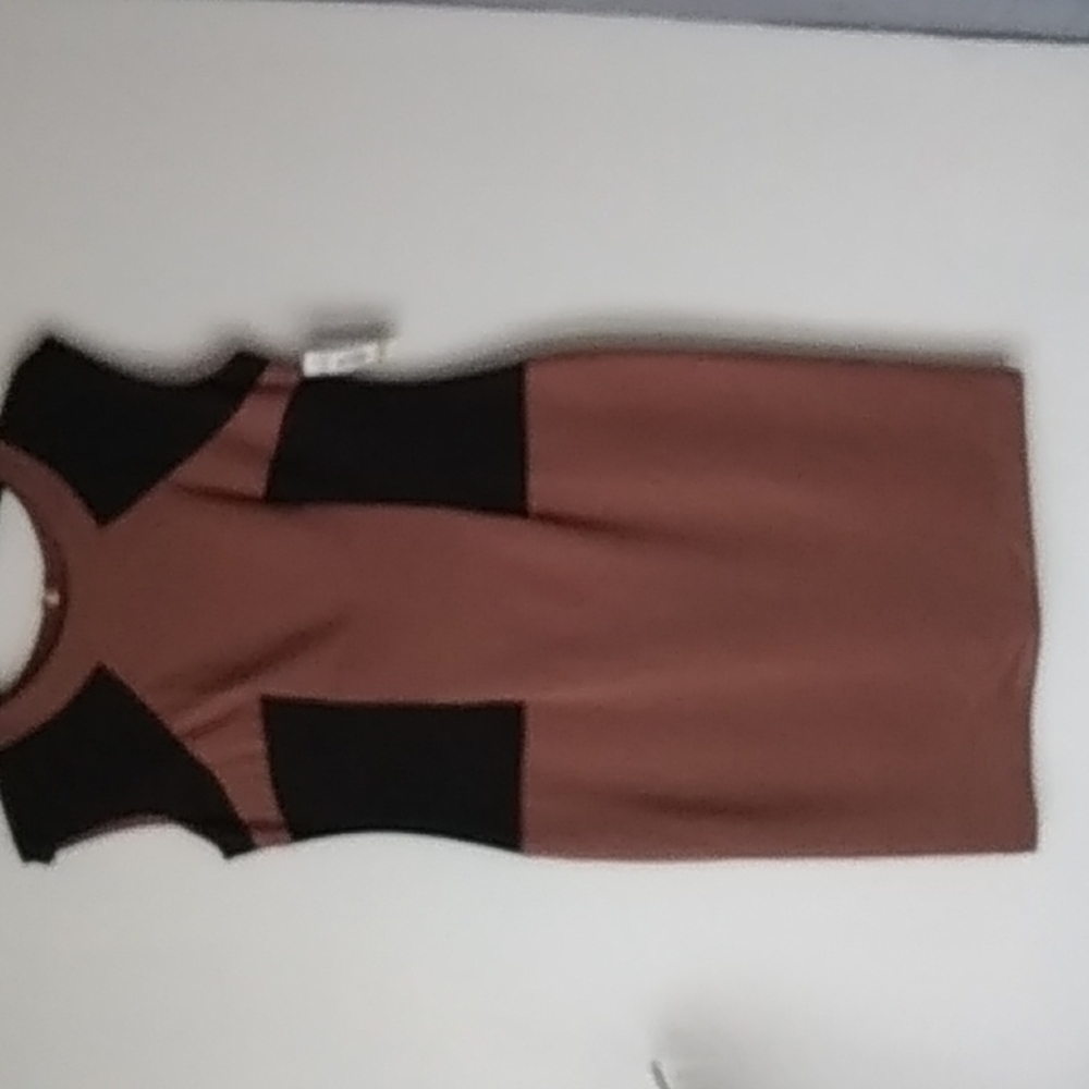 R & M Richardson's size 14 women's dress color is black and brown
